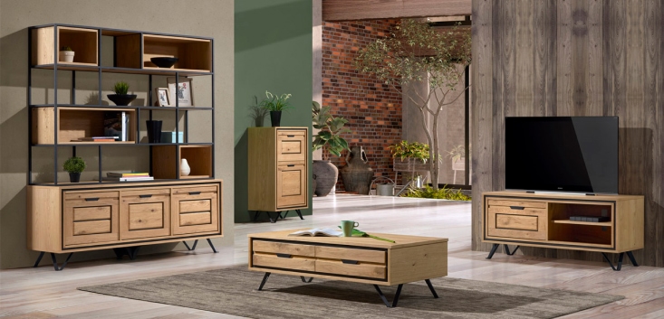 salle de séjour avec meuble télévision en bois 